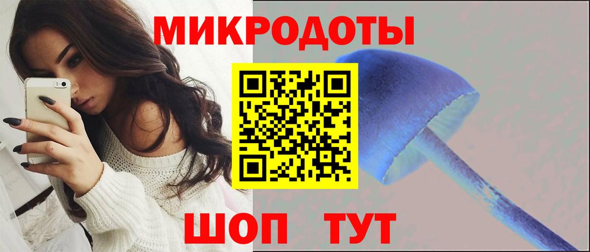 Михайловка  Псилоцибиновые грибы ЛСД  Вход с VPN  Галлюциногенные грибы Psilocybe 